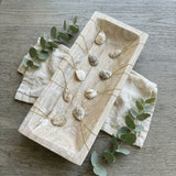 Oyster Shell Pendant Necklace