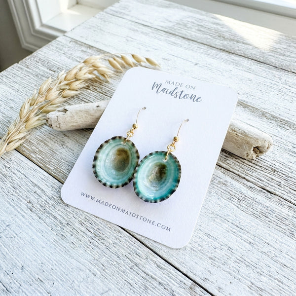 Limpet Shell Earrings