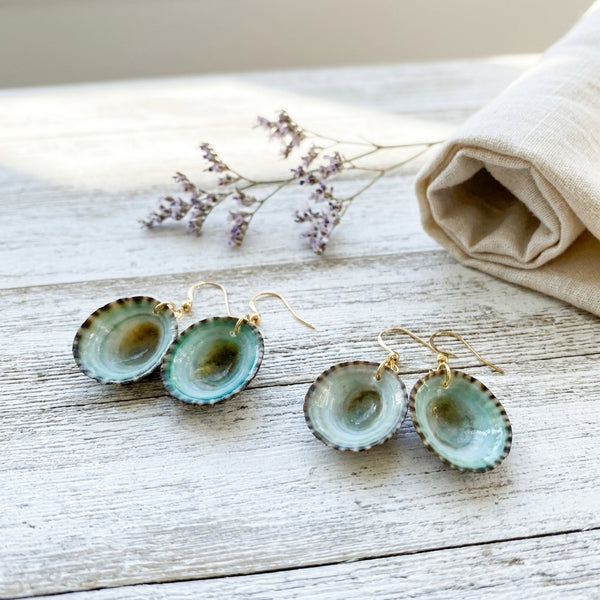 Limpet Shell Earrings