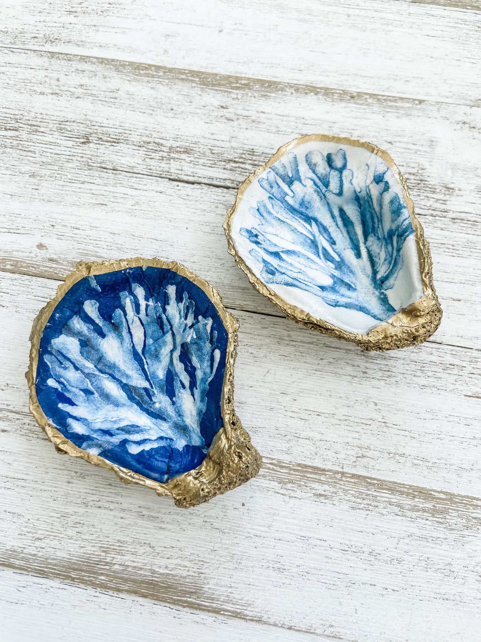 Coral Reef Oyster Shell Ring Dish image 1