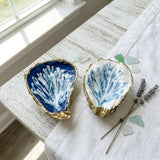 Coral Reef Oyster Shell Jewelry Dish
