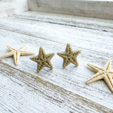 Starfish Studs