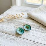 Limpet Shell Earrings