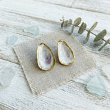 Oyster Shell Studs