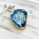 Coral Reef Oyster Shell Jewelry Dish