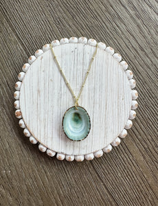 Limpet Shell Pendant Necklace