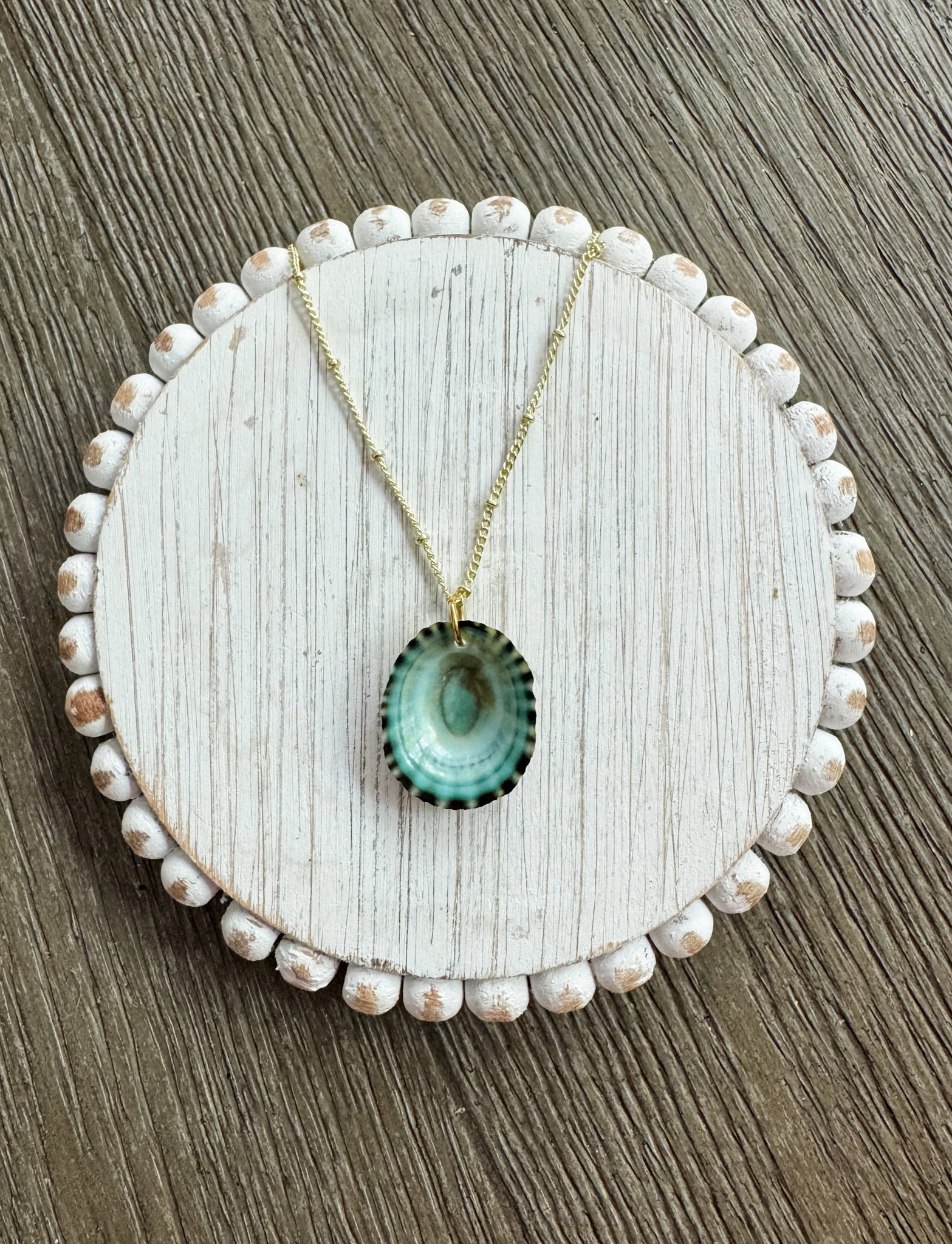 Limpet Shell Pendant Necklace