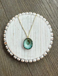 Limpet Shell Pendant Necklace