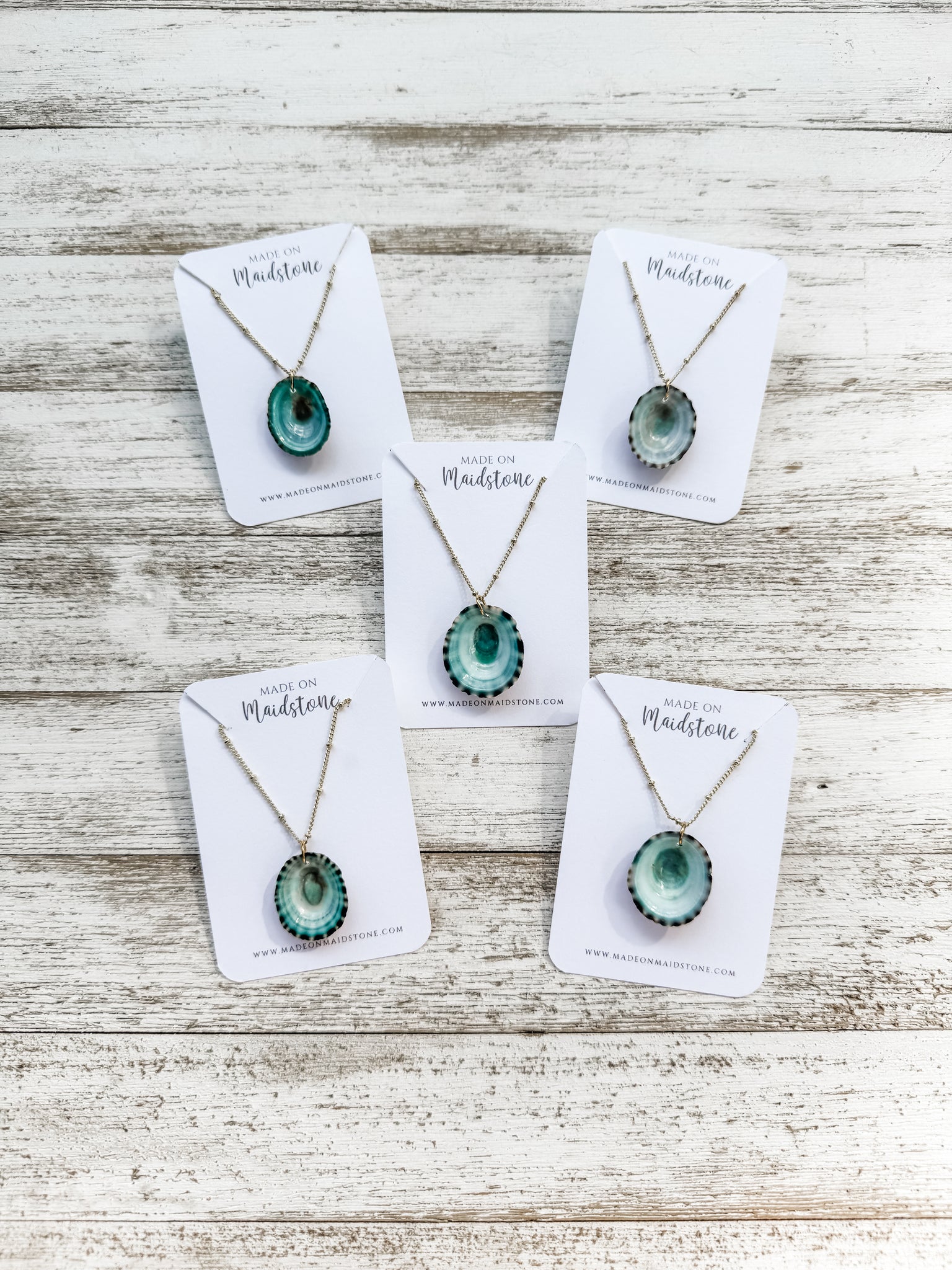 Limpet Shell Pendant Necklace