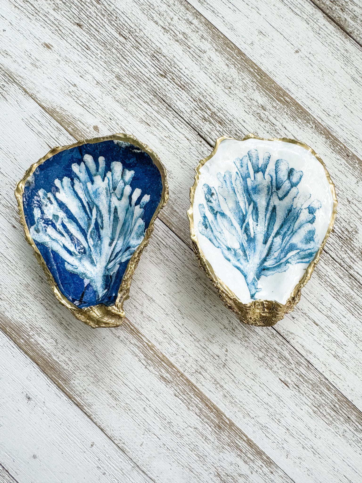 Coral Reef Oyster Shell Ring Dish