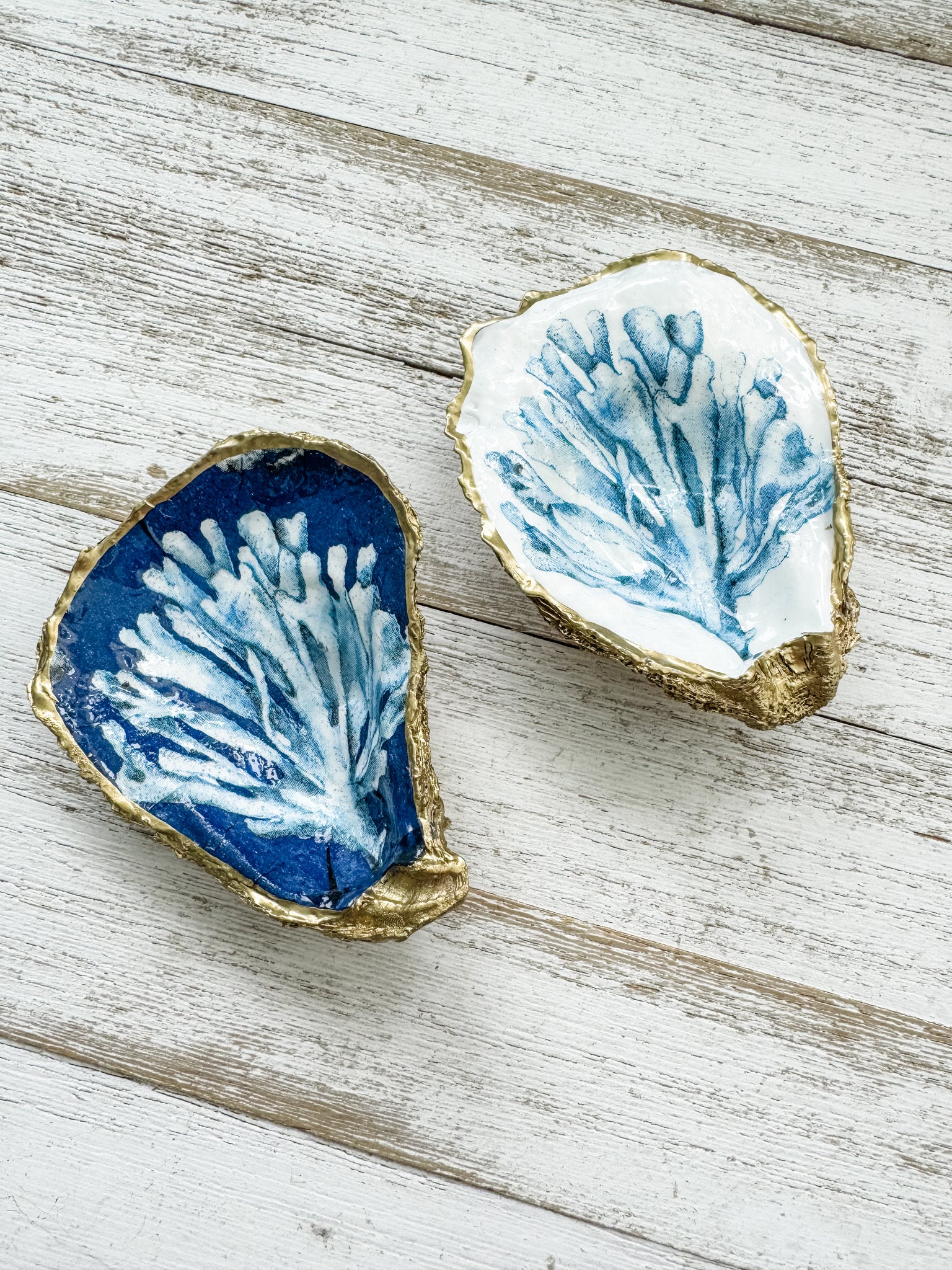 Coral Reef Oyster Shell Ring Dish