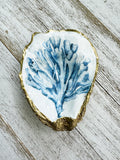 Coral Reef Oyster Shell Ring Dish