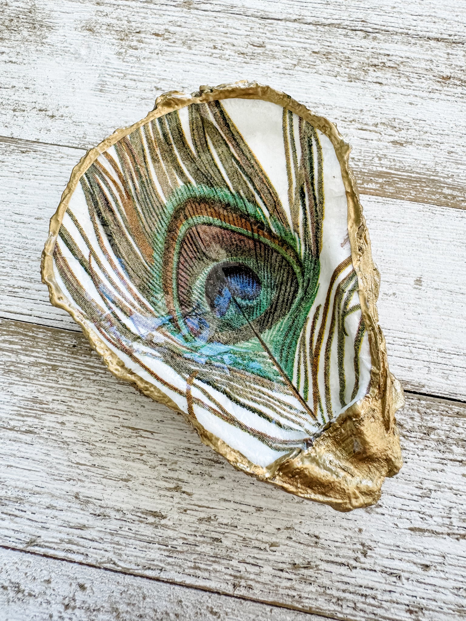 Peacock Feather Oyster Shell Ring Dish