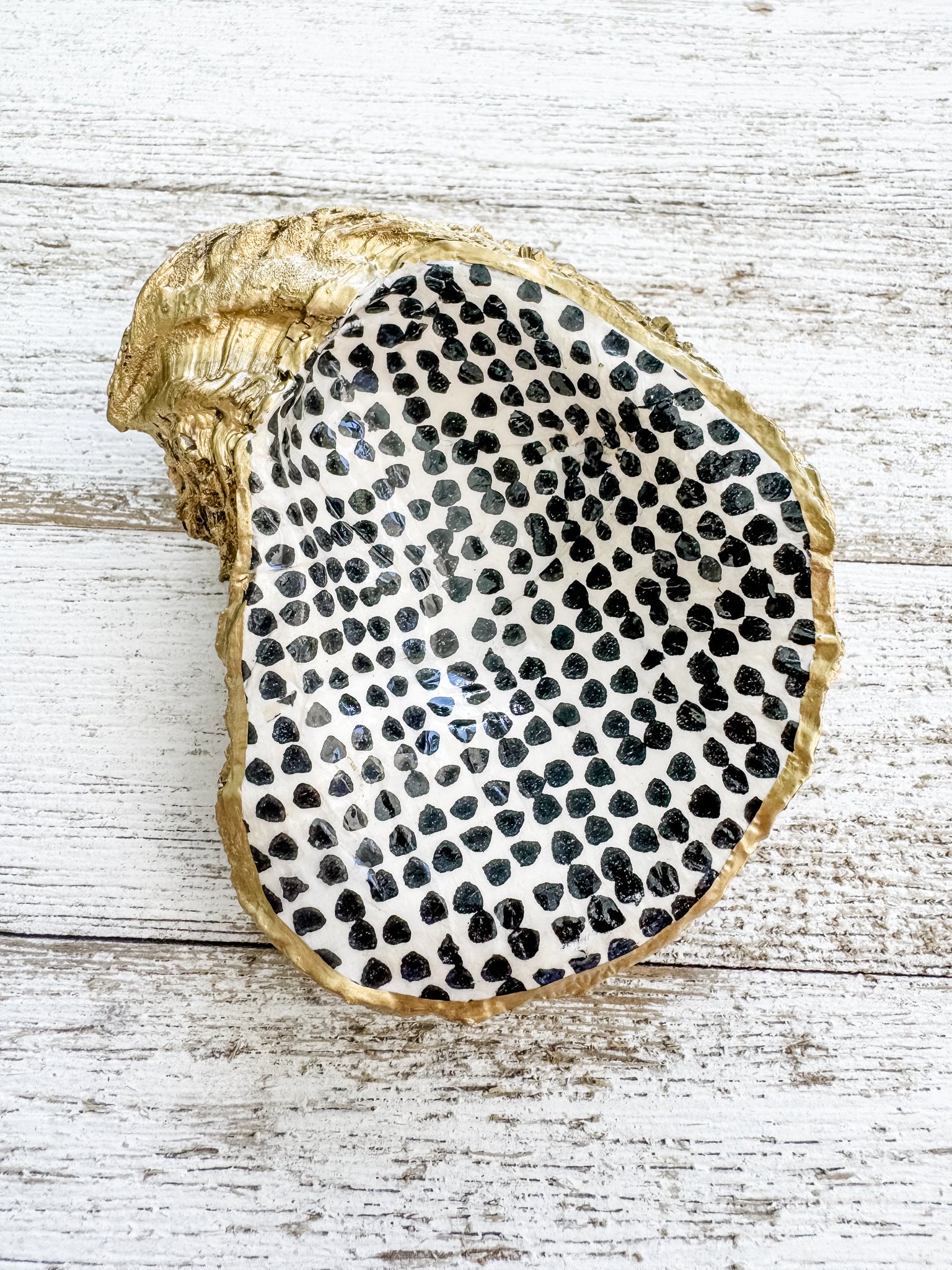 Black Polka Dot Oyster Shell Ring Dish