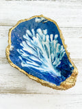 Coral Reef Oyster Shell Ring Dish