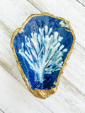 Coral Reef Oyster Shell Ring Dish