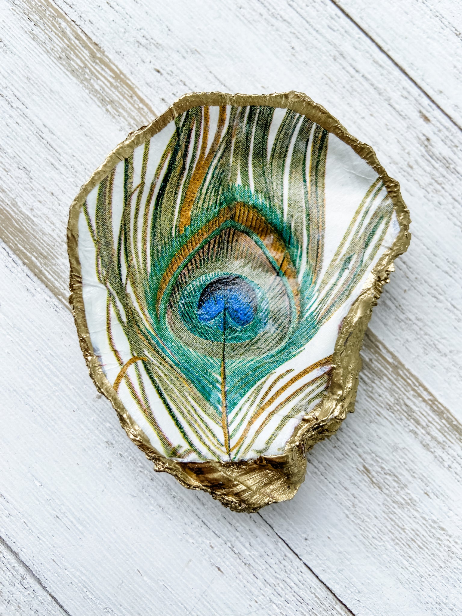 Peacock Feather Oyster Shell Ring Dish