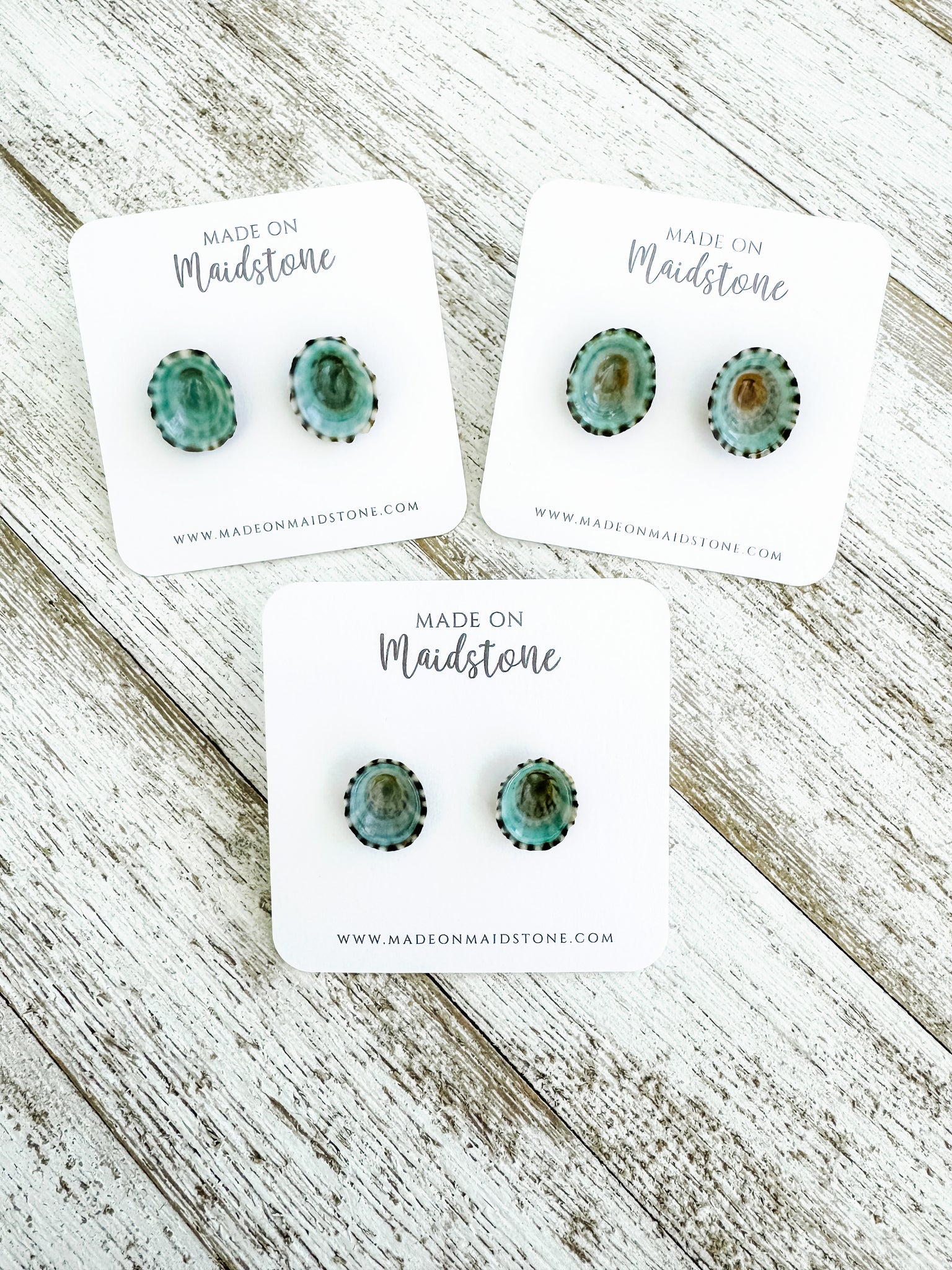 Limpet Shell Studs
