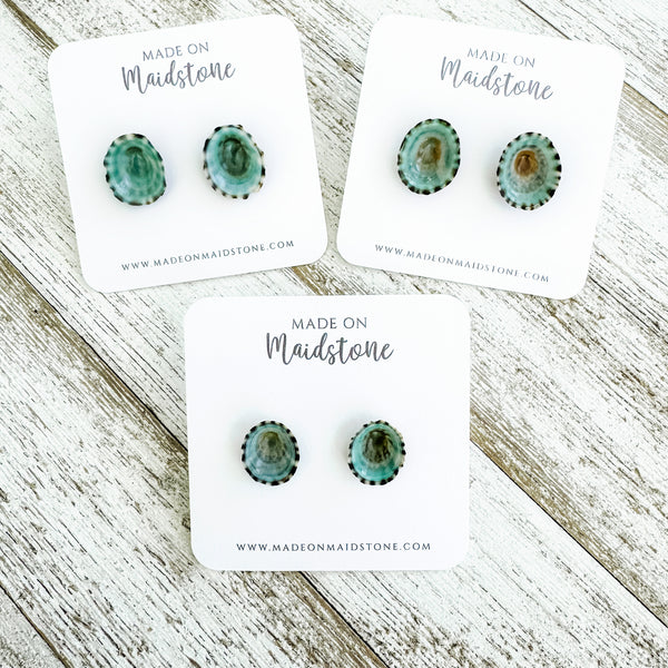 Limpet Shell Studs