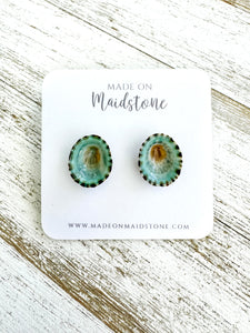 Limpet Shell Studs