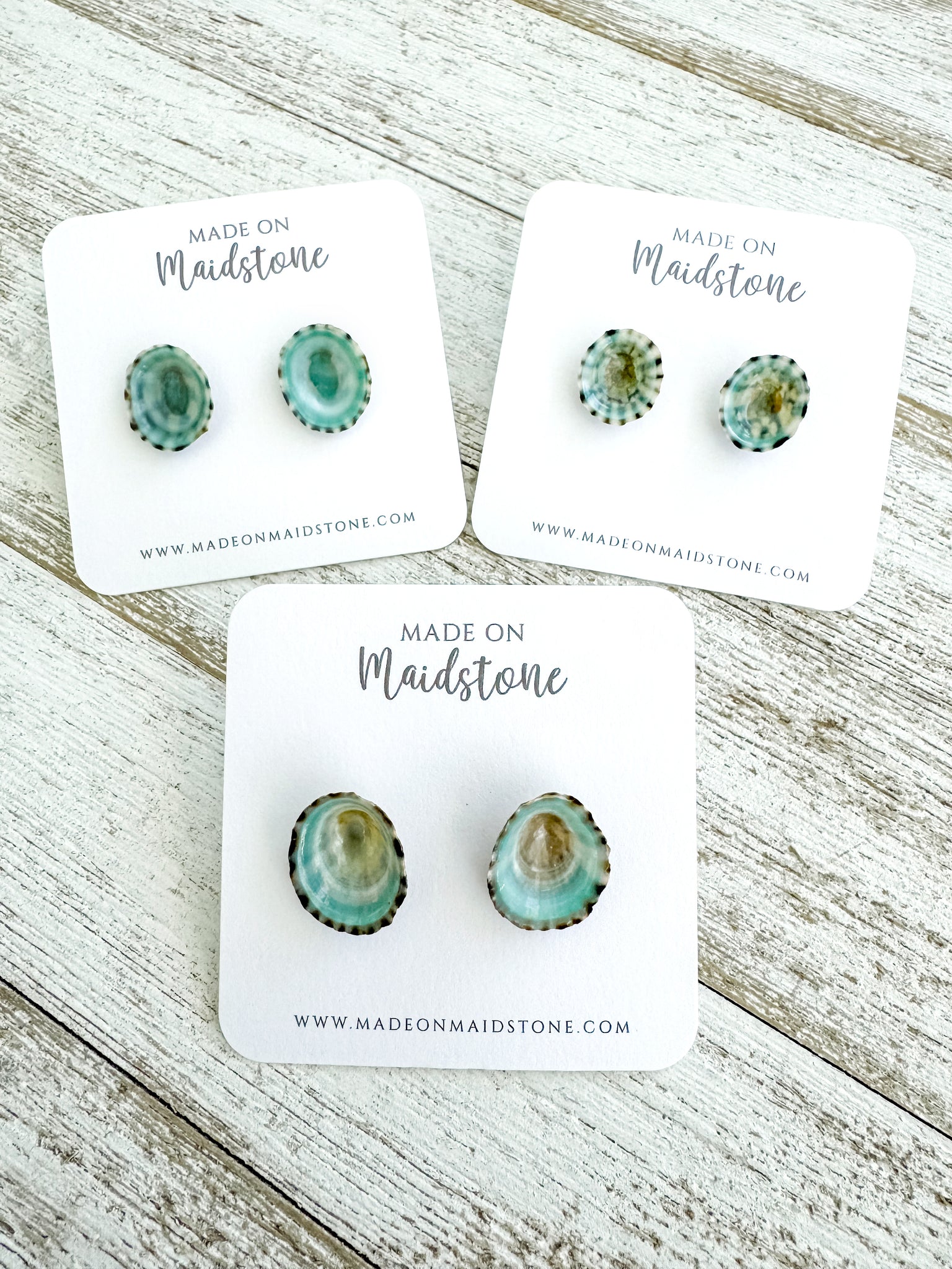 Limpet Shell Studs