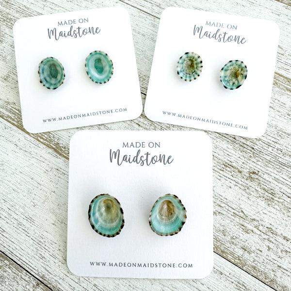 Limpet Shell Studs