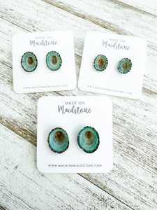 Limpet Shell Studs
