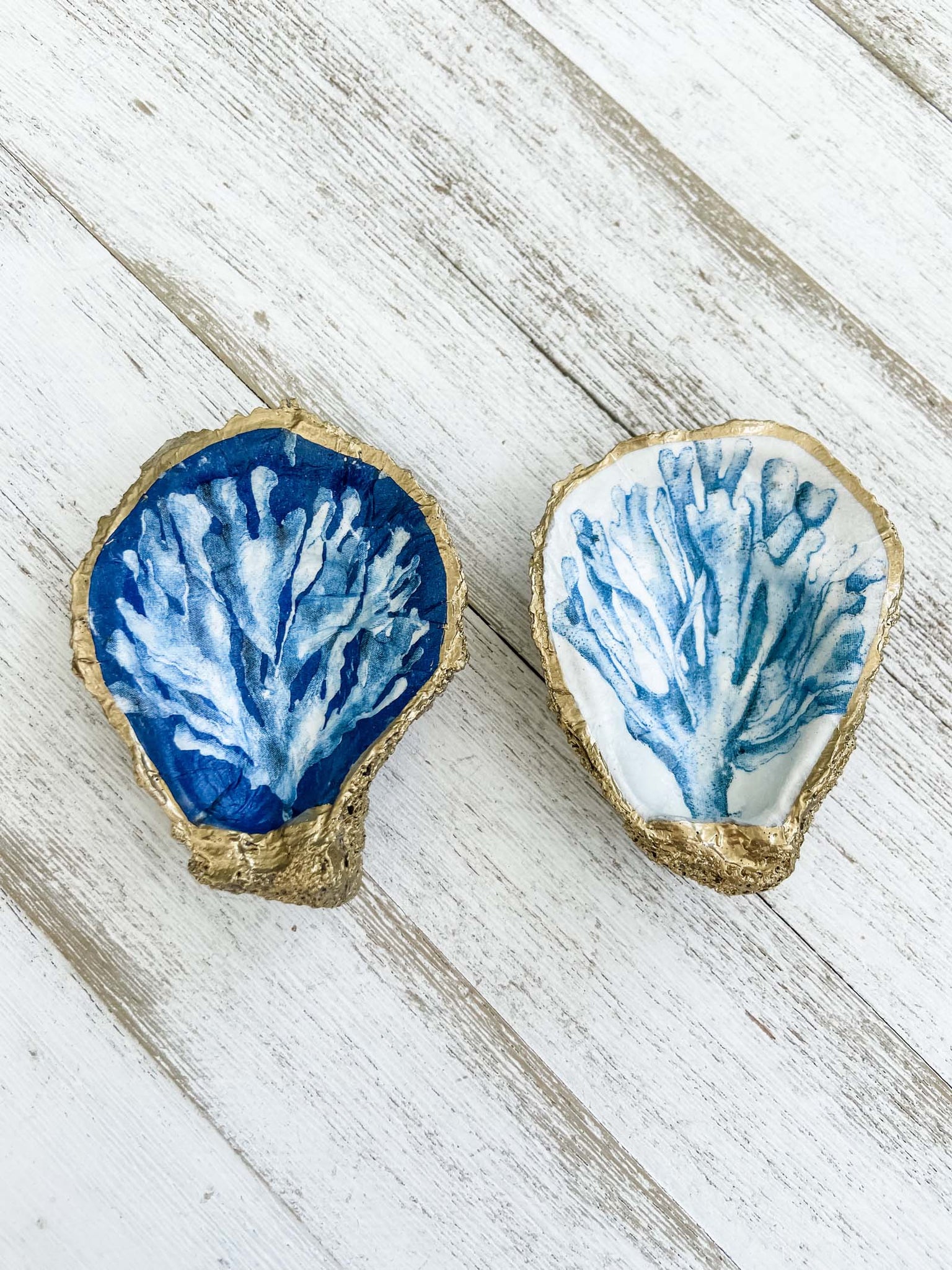 Coral Reef Oyster Shell Ring Dish image 0